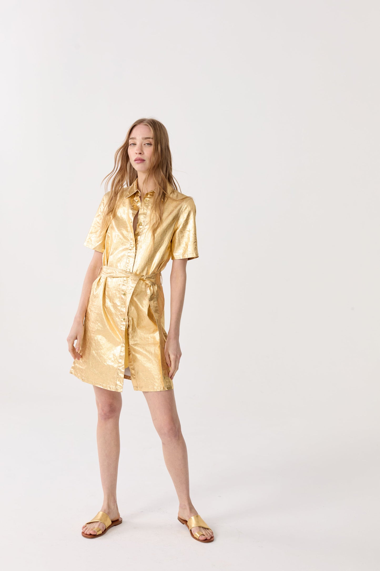 Franca Metallic Linen Dress - Gold
