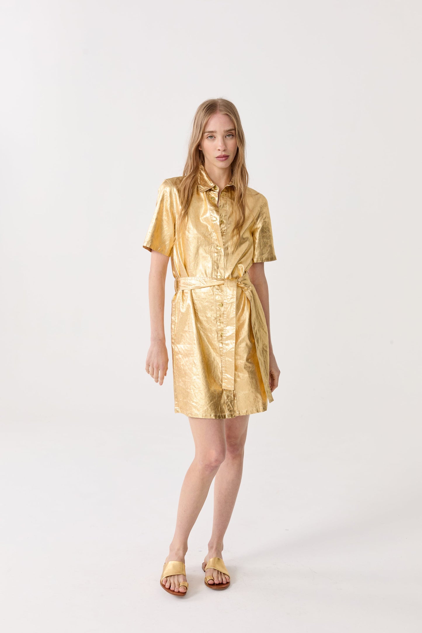 Franca Metallic Linen Dress - Gold